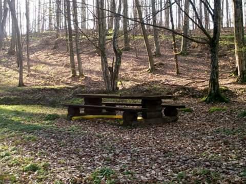 Kuca Za Odmor"Miran San" Villa Podgorić Екстериор снимка