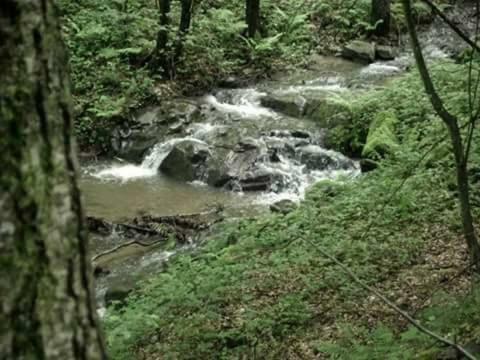 Kuca Za Odmor"Miran San" Villa Podgorić Екстериор снимка